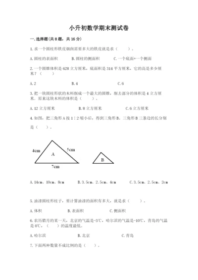 小升初数学期末测试卷附参考答案（培优b卷）.docx