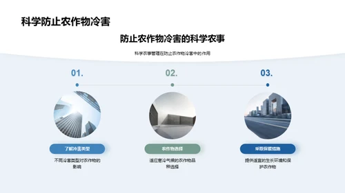 大寒农业气象指南