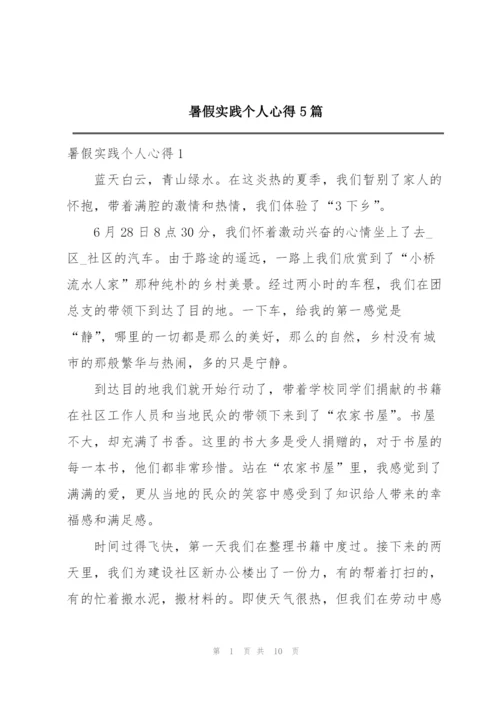 暑假实践个人心得5篇.docx