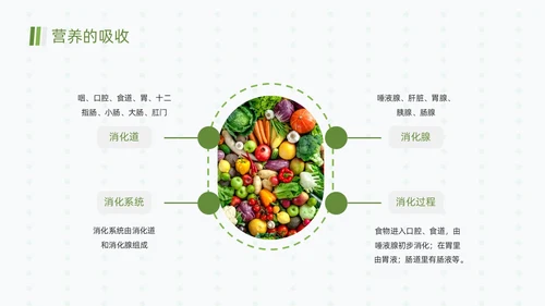 绿色清新简约合理营养与食品安全全民营养周动态PPT