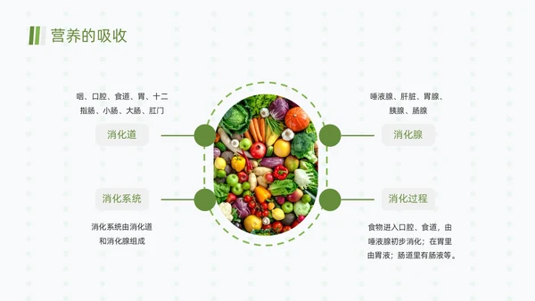 绿色清新简约合理营养与食品安全全民营养周动态PPT