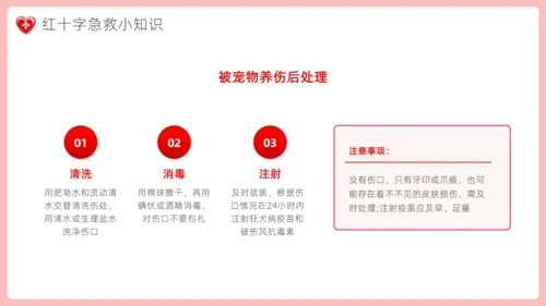 爱心红十字会，红十字应急救护通用PPT模板