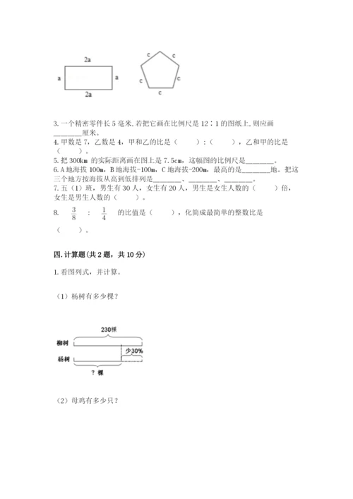 北京版六年级下册数学期末测试卷【培优】.docx