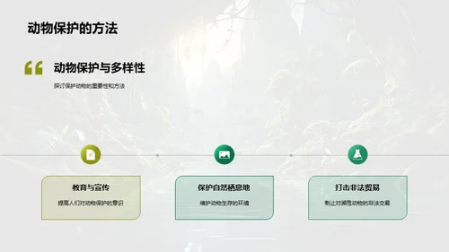 探秘动物世界