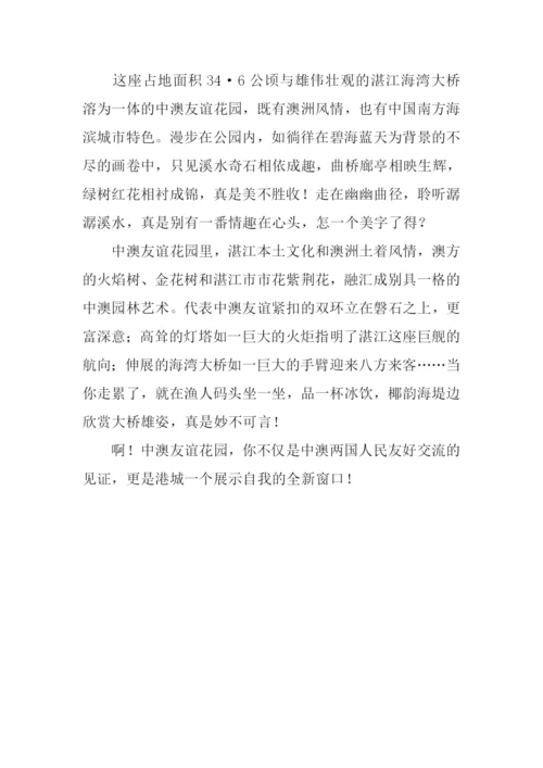 友谊花园作文.docx