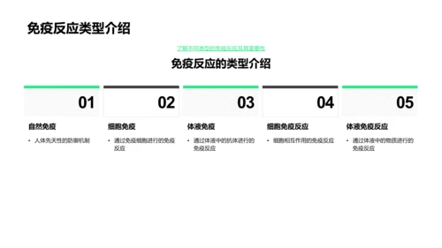 免疫系统解析PPT模板