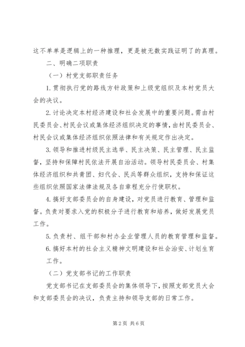 怎样当好村党支部书记和村主任(谢金花) (2).docx