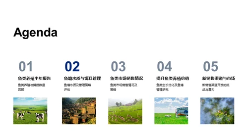 优化鱼塘经营策略