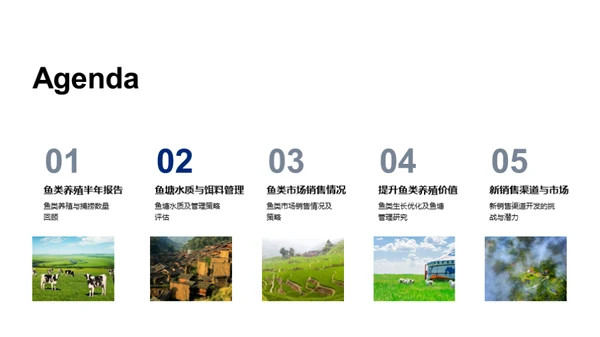 优化鱼塘经营策略