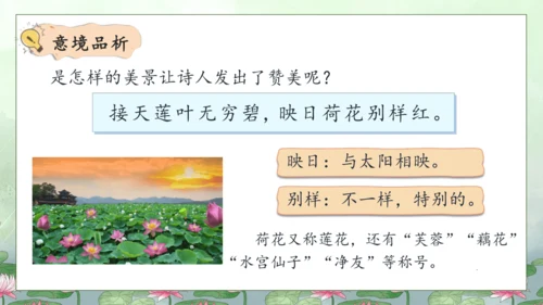 【核心素养】部编版语文二年级下册-15. 古诗二首 第2课时（课件）