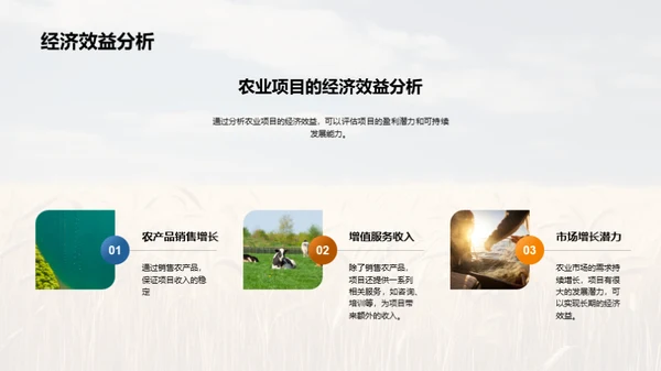 农业项目投资策略
