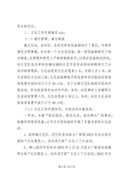 乡镇年度文化事业工作总结.docx