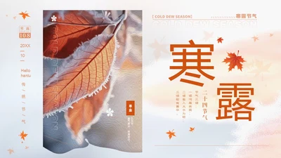 白色淡雅实拍风中国传统节气寒露节气介绍PPT