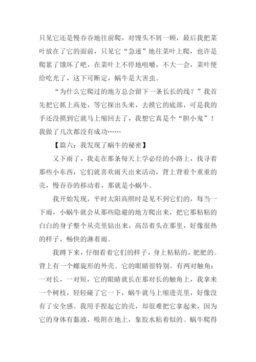 我发现了蜗牛的秘密作文350字.docx