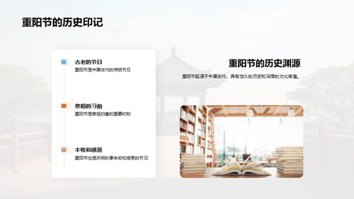 尊老爱老的社会实践