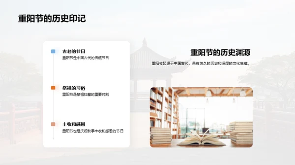 尊老爱老的社会实践