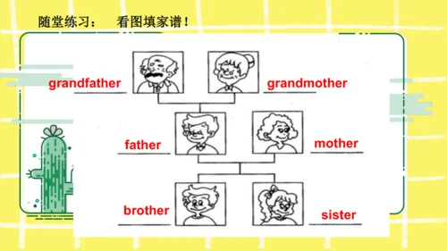 三年级下册Unit 2 My Family知识点复习课件