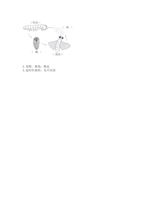 教科版三年级下册科学期末测试卷精品（达标题）.docx