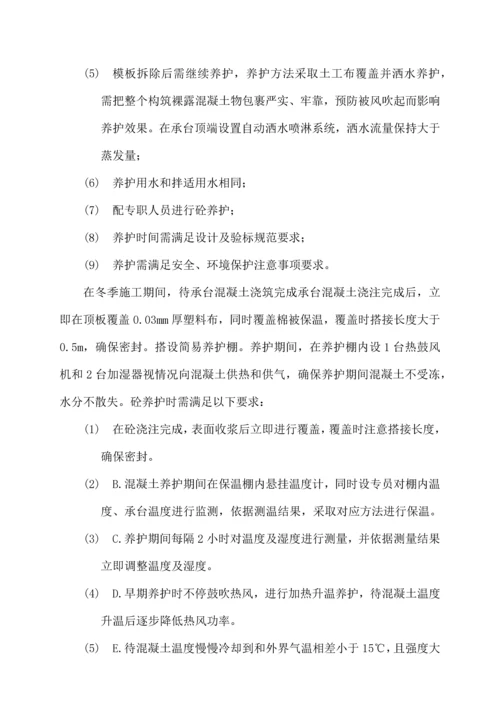 桥梁混凝土养护专项方案修改版.docx