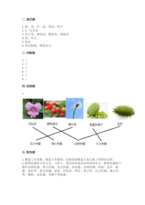 教科版科学四年级下册第一单元《植物的生长变化》测试卷及答案（夺冠）.docx