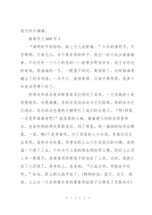 踏青作文600字5篇.docx