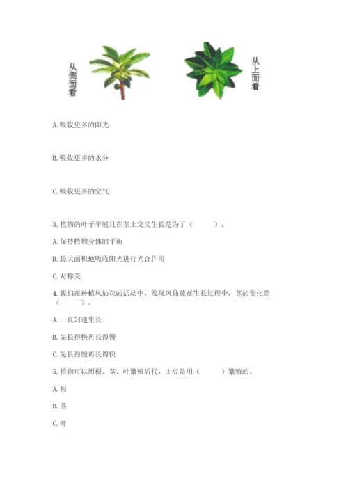 教科版四年级下册科学第一单元《植物的生长变化》测试卷精品【有一套】.docx