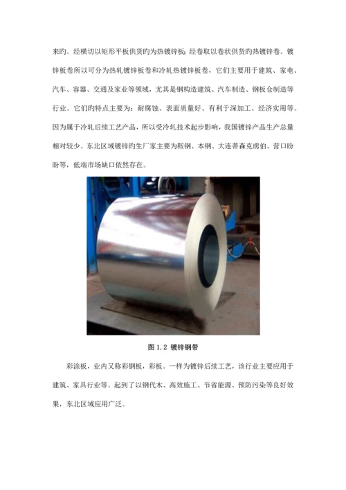 公司冷轧项目调研报告.docx