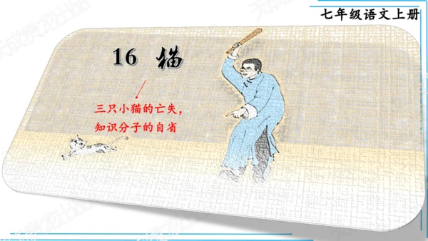 七上语文期中期末复习2_3词语运用每课晨读 课件(共47张PPT)