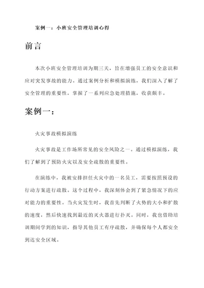 小班安全管理培训心得