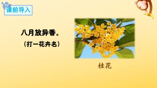 3 桂花雨   课件