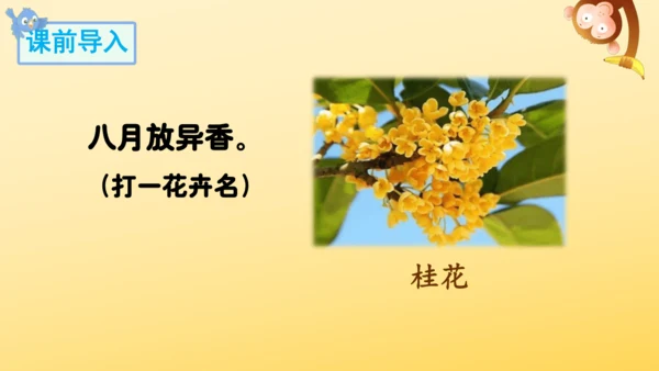 3 桂花雨   课件