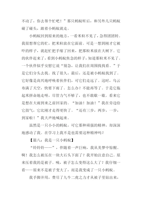 一只小蚂蚁作文.docx