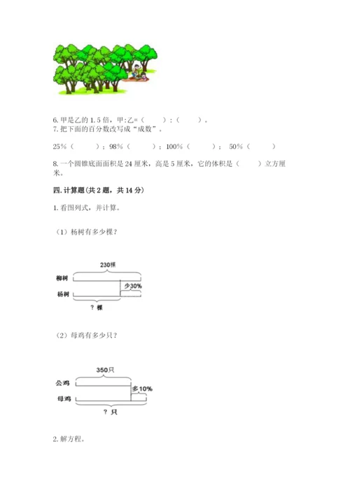 赣州市南康市六年级下册数学期末测试卷标准卷.docx