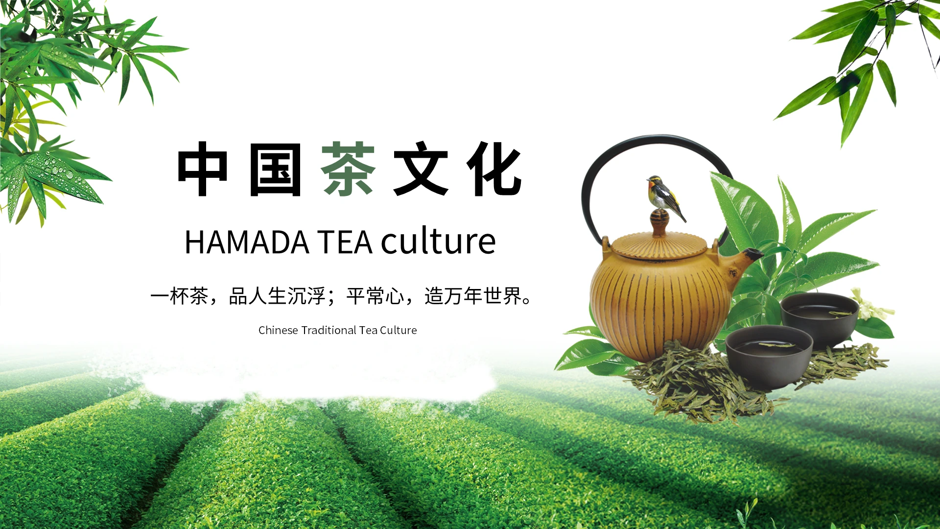 绿色简约小清新中国茶文化说课PPT