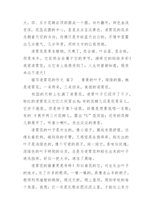描写凌霄花的作文.docx