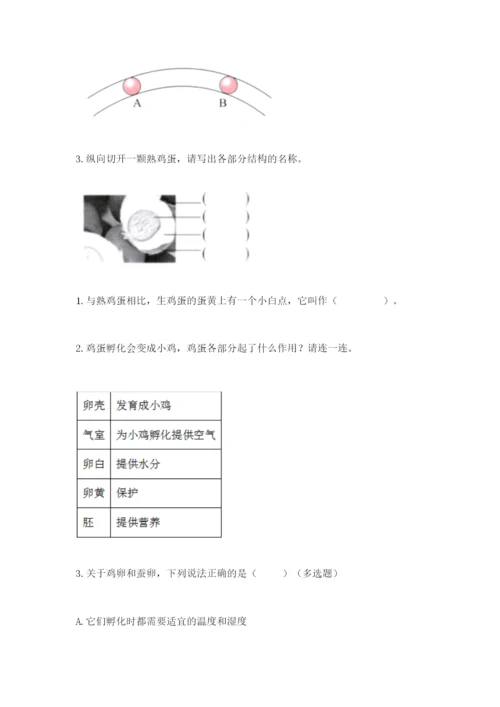 教科版科学三年级下册期末测试卷含答案（新）.docx