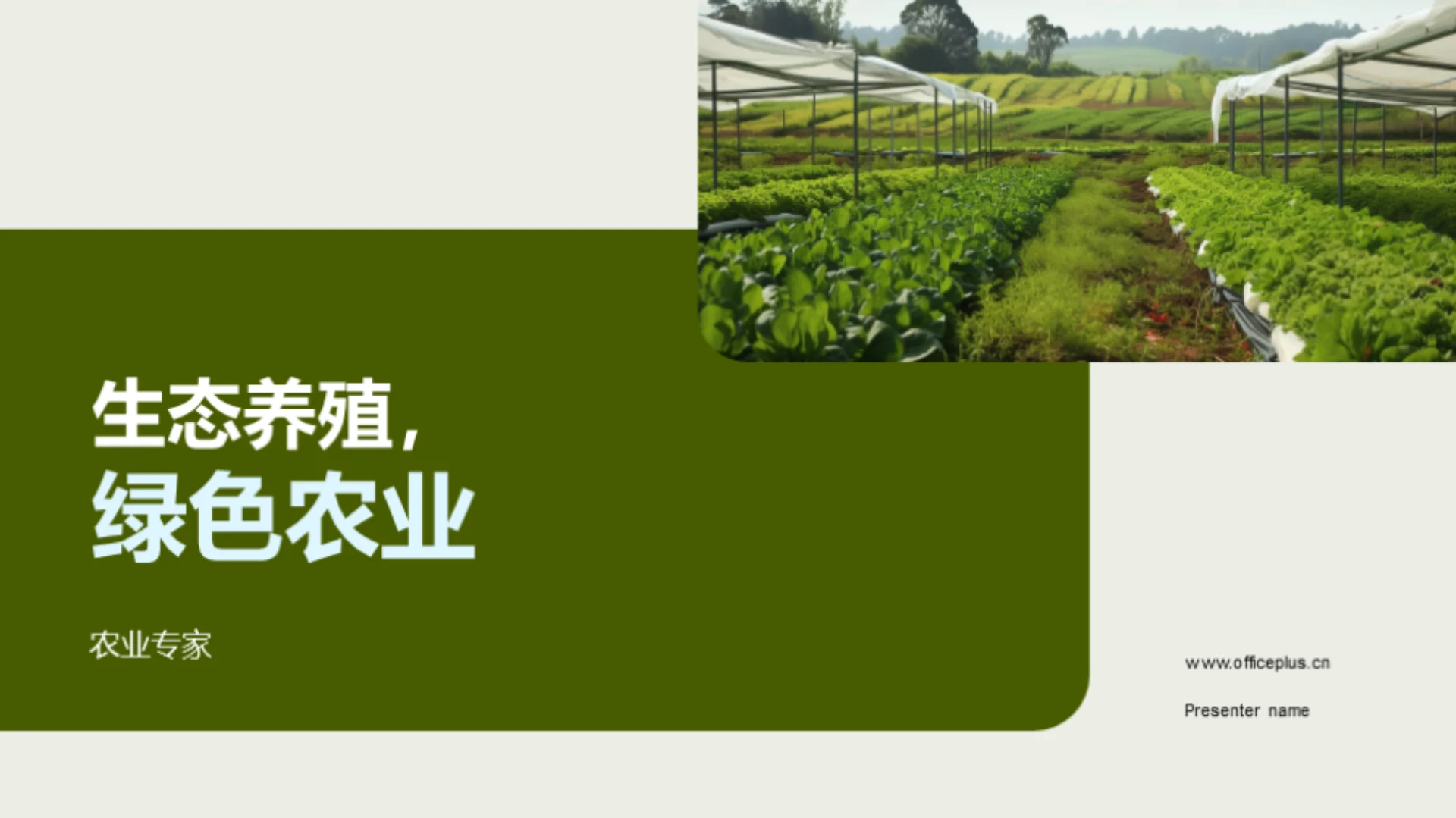 生态养殖,绿色农业