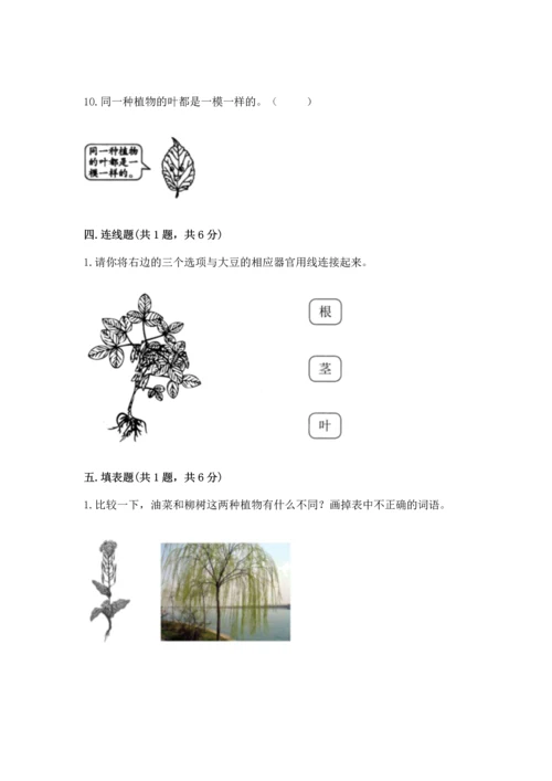 教科版一年级上册科学期末测试卷及参考答案ab卷.docx