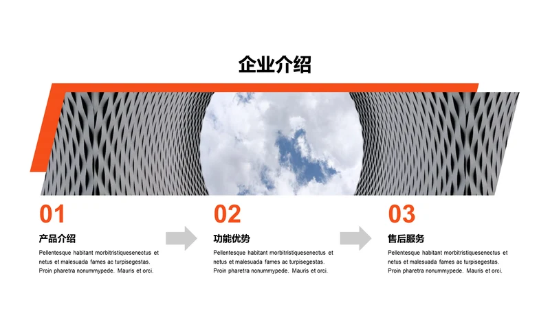 单色扁平3项企业介绍