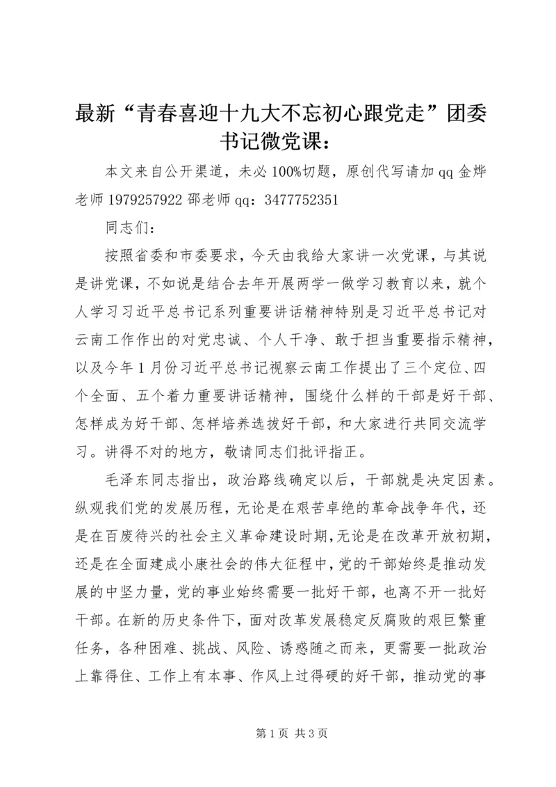 最新“青春喜迎十九大不忘初心跟党走”团委书记微党课：.docx