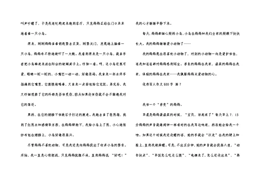 优秀写人作文600字合集7篇