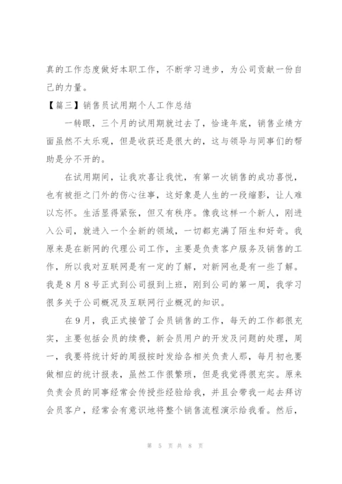 销售员试用期个人工作总结.docx