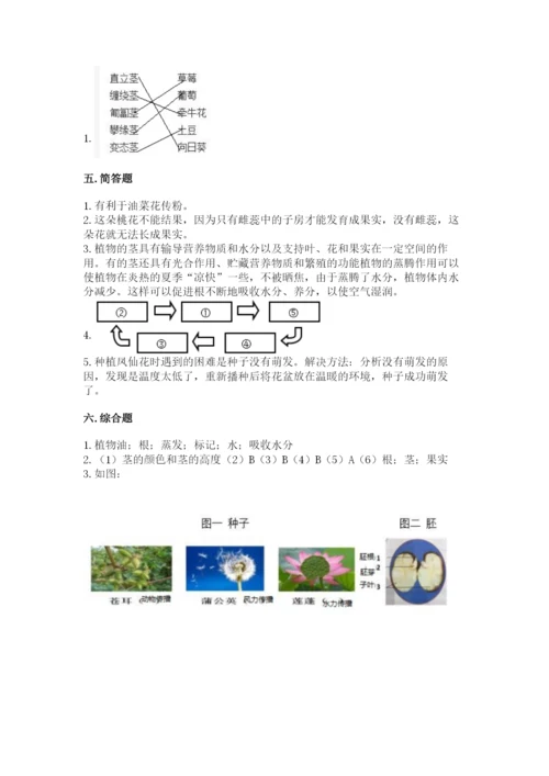 教科版四年级下册科学第一单元《植物的生长变化》测试卷（各地真题）.docx