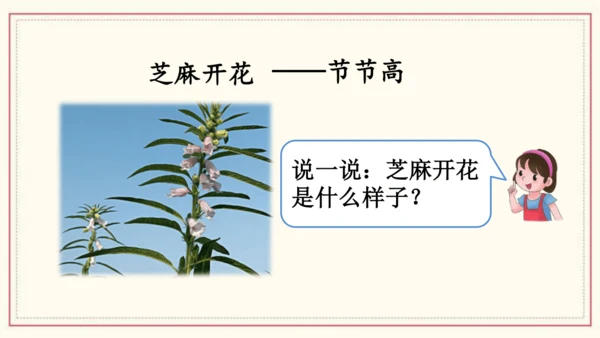 部编版语文一年级下册语文园地五（课件）