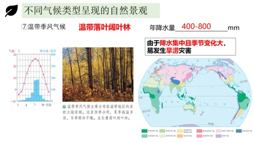 3.4世界的气候 2023-2024学年七年级地理上册同步精品课件（人教版）（共51张ppt)