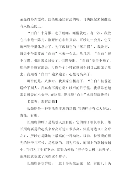 三年级作文观察动物.docx