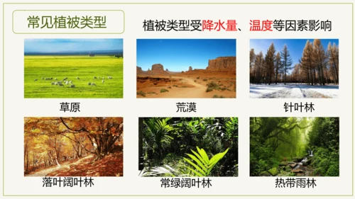 3.6 爱护植被，绿化祖国2023-2024学年七年级生物上学期同步精品课件（人教版）(共21张PP