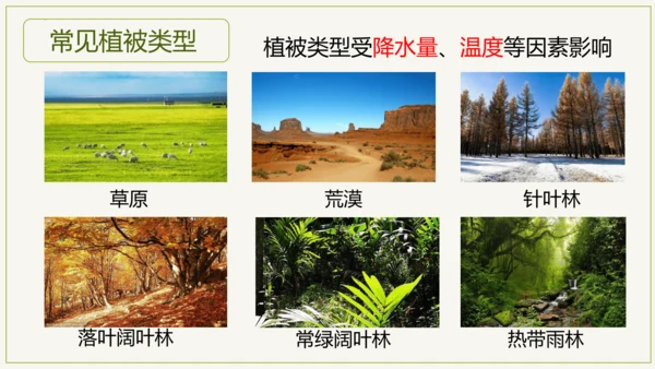 3.6 爱护植被，绿化祖国2023-2024学年七年级生物上学期同步精品课件（人教版）(共21张PP