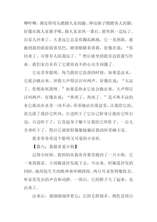 关于小狗的作文500字.docx