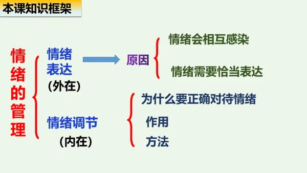 第四课 揭开情绪的面纱 复习课件（28张PPT）